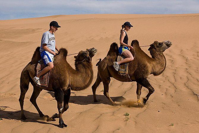 1 Day Semi-Gobi All-included tour - Key things to know before you go