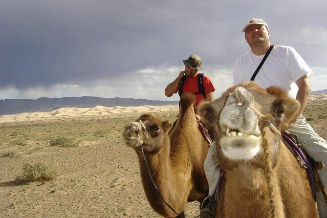 1 Day Semi-Gobi Tour Including Lunch And Free Camel +Bonus Khustai National Park - Key things to know before you go
