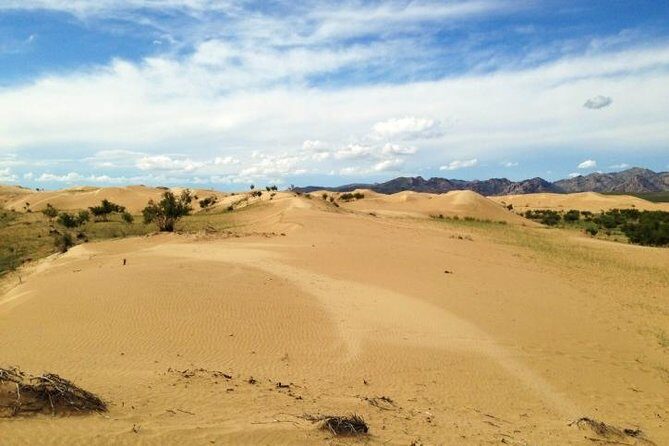 1 Day Semi-Gobi Tour Including Lunch And Free Camel +Bonus Khustai National Park - Khustai National Park bonus: spotting Przewalski horses and other wildlife