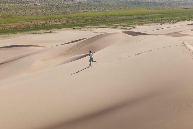 1 Day Semi-Gobi Tour Including Lunch And Free Camel +Bonus Khustai National Park - Elsen Tasarkhai sand dunes: camels, hiking, and wildlife potential