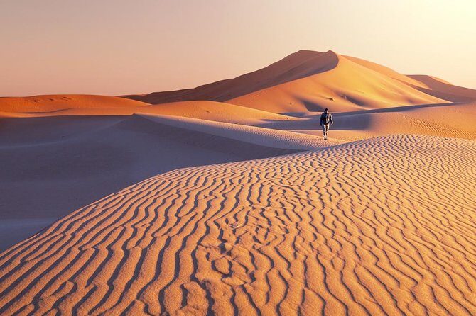 1 Day Semi-Gobi Tour with Lunch And Enjoying Camel or Horseback - The Real Star: Bayar’s English and Supportive Pace
