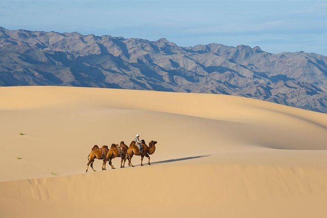 1 Day Semi-Gobi Tour with Lunch And Enjoying Camel or Horseback - Price and Value: Is $138 a Good Deal for This Day?