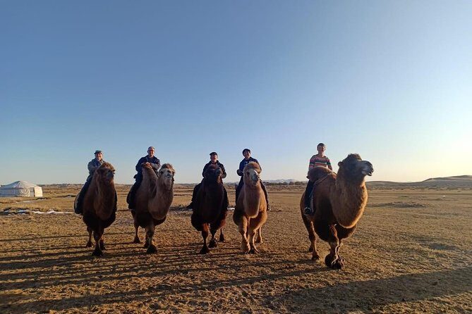 2 day Central Mongolia - Key Things You’ll Notice on This Central Mongolia 2-Day Trip