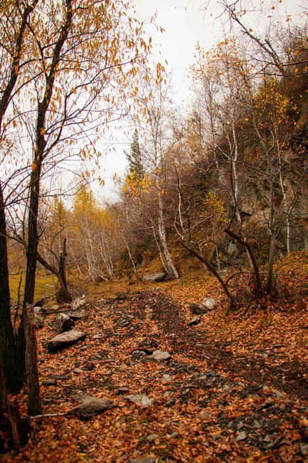 2 Day Horse trekking in Terelj national park - Turtle Rock and Terelj Park: where the ride begins (and why it matters)
