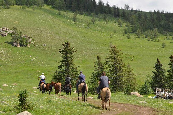 2 Days Tour: Terelj National Park And Chinggis Statue - Chinggis Khaan Statue Complex: scale you feel, context you need