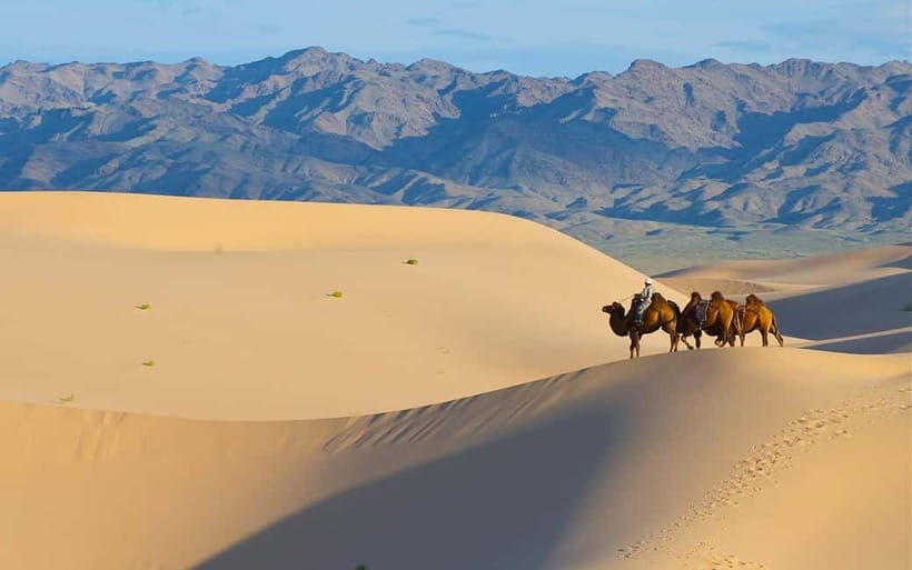 4 Days Central Mongolia-Amazing experiece - Day 1 in Terelj National Park: statue views, Ovoo stops, and easy legs