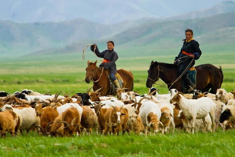 5 day Central Mongolia and Nomad stay tour - Elsen Tasarkhai and the Semi-Gobi Dunes: Camel Riding with Dust in the Details