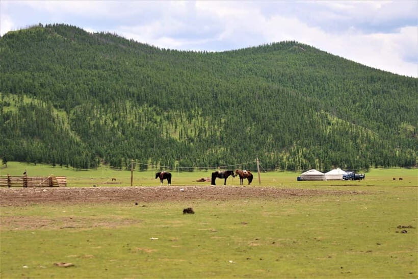 5 day Central Mongolia and Nomad stay tour - Kharkhorum, Erdene Zuu, and a Mini Concert Night