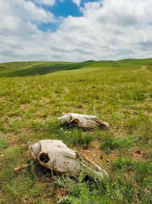 5 day Central Mongolia and Nomad stay tour - The 370 km Return: Long Drive, But Use It for Calm
