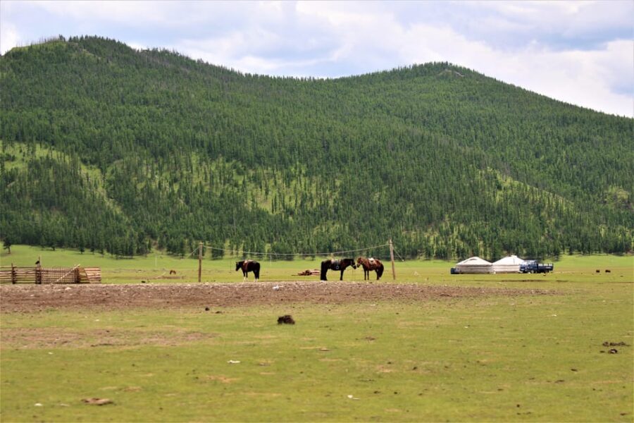 5 day Central Mongolia and Nomad stay tour - Ger Camps and Showers: The Comfort Reality Check (Read This Part)