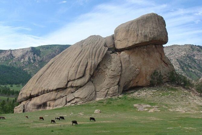 5 Days Terelj national Park Tour From Central Mongolia - Day 5: Hustai National Park and Przewalski’s horses back to Ulaanbaatar