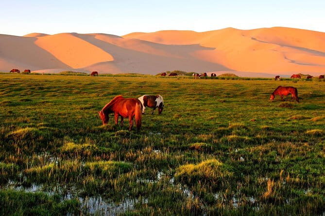 6 Days Color of Gobi Desert - Why 6 Days Across the Gobi Feels Just Right