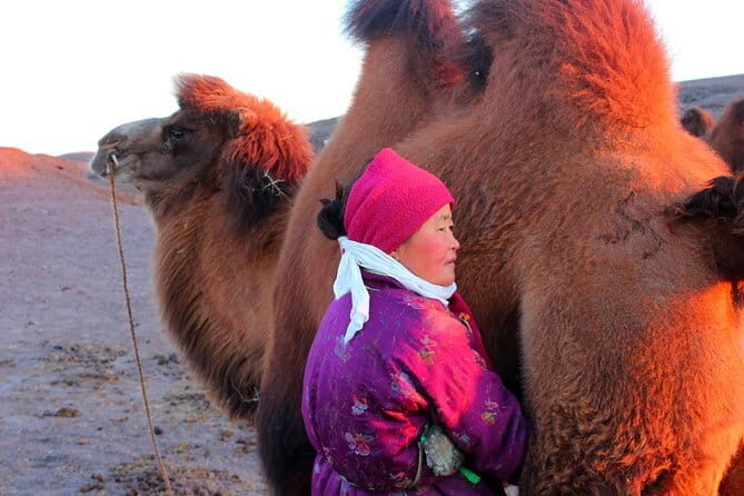 6 Days Color of Gobi Desert - White Stupa and the Long Road: A Lunar-Quiet Detour