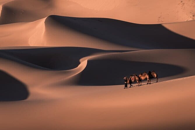 6 Days Gobi Desert Tour with complimentary airport pickup - Quick Hits: What Makes This Gobi Tour Work