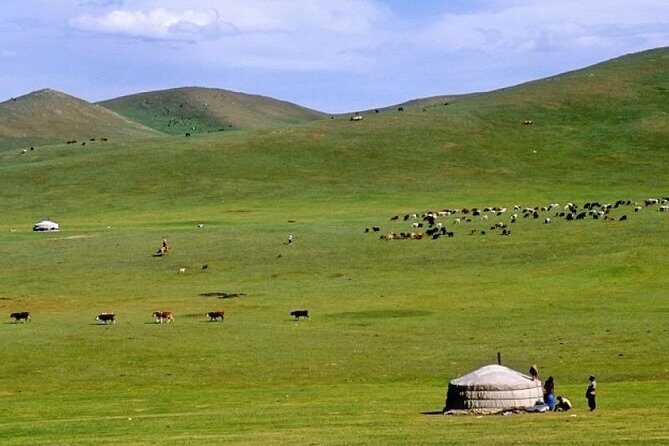 7 days Central Mongolia and Great Gobi - Why this Gobi-and-central route feels worth your time