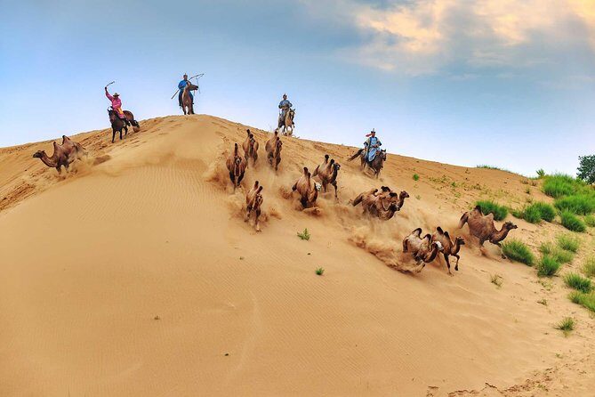 8 Days Tour: Gobi Desert And Kharkhorin - Key things to know before you go