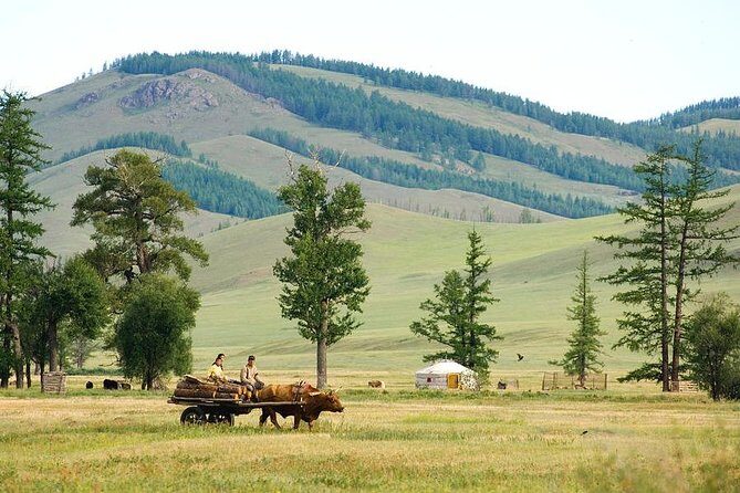 A day trip to Terelj National Park and Statue of Chinggis Khan - From Ulaanbaatar pickup to Terelj: how the day actually flows