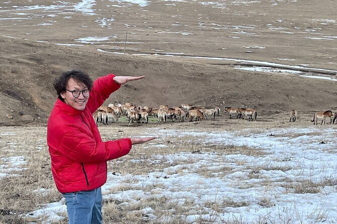 Authentic Mongolian two days tours in Terelj & Khustai National P - Key highlights you’ll care about