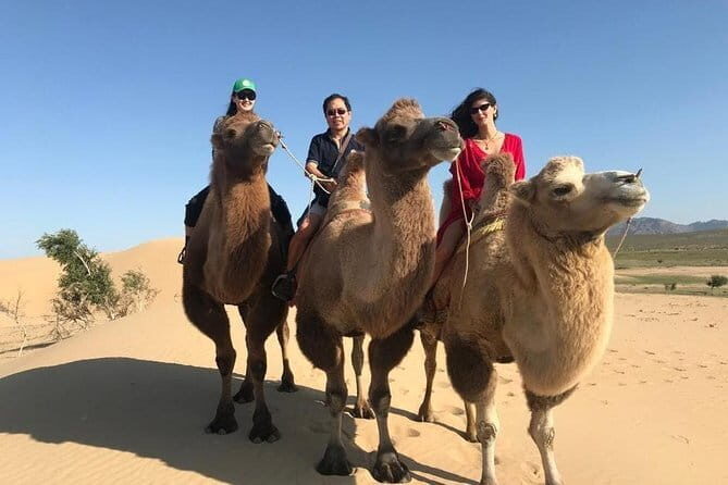 Authentic Mongolian two days tours in Terelj & Khustai National P - Day 2: Breakfast, return drive, and the Moltsog Sand Dunes stop