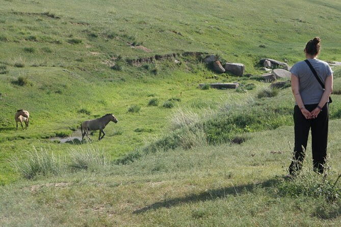 Authentic Mongolian two days tours in Terelj & Khustai National P - Why the overnight setup matters more than you think