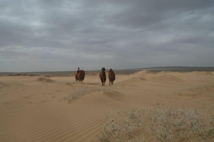 Best 6-Day Gobi Tour Discover Mongolia - Day 1: Baga Gazriin Chuluu and the Big Chinggis Khaan Statue