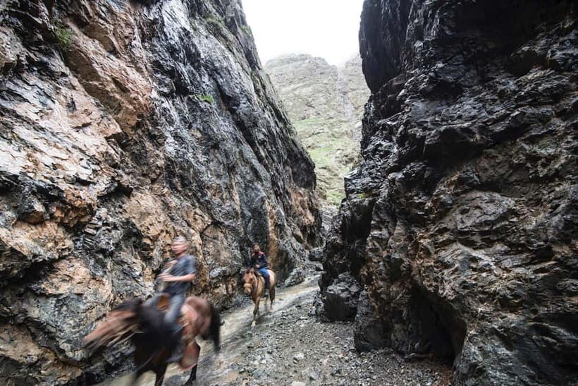 Bus tour to visit Gobi 4 day - Key things to know before you go