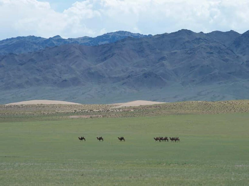 Bus tour to visit Gobi 4 day - Price and Value: What’s Included, What’s Not