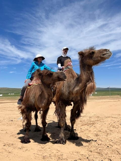 Camel Trails and Bird Tales: Discovering Elsen Tasarkhai - Camel Riding on Elsen Tasarkhai’s Sand Dunes