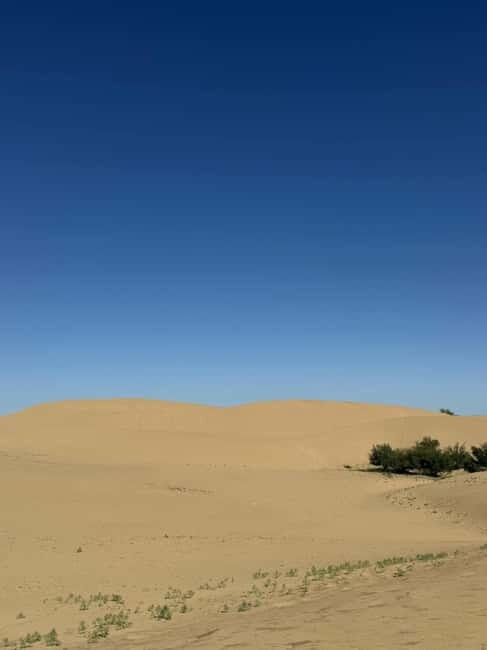 From UB: 2-Days Tour to Kharhorin and sand Semi Gobi - Meals and timing: lunch you pay for, dinner you don’t (depending)