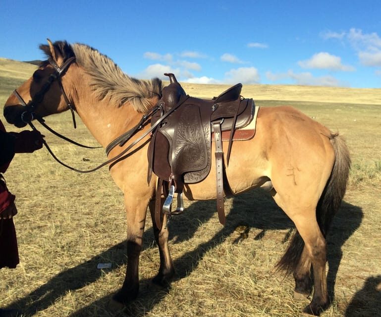 From Ulaanbaatar: Day Trip to Hustai National Park - Key Things to Know Before You Go