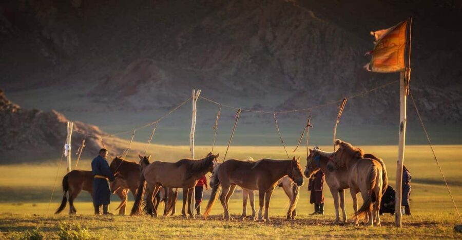 From Ulaanbaatar: Day Trip to Hustai National Park - Lunch at the Park and a Local Food Stop: Simple, Cultural, and Useful