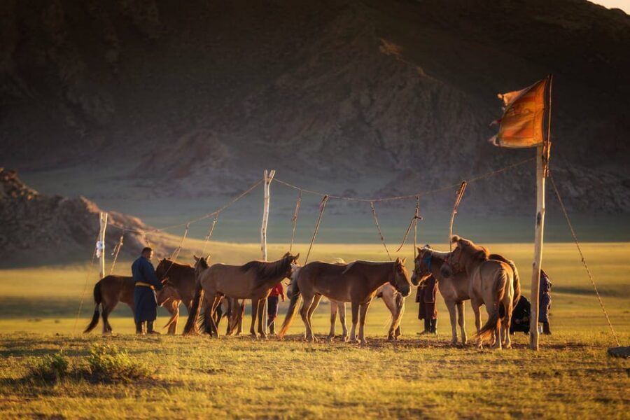 From Ulaanbaatar: Day Trip to Hustai National Park - English-Speaking Guides and Storytelling: Getting More From the Same Views