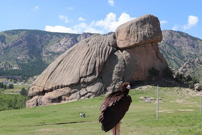 Full Day Chinggis Khaan Statue & Terelj NP Tour +Horseride, Eagle - Horseback Riding in Terelj Valley: What One Hour Really Means
