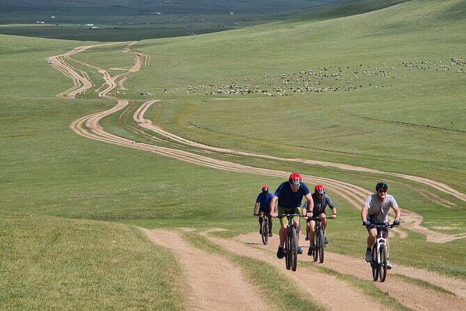 Full Day Mountain Biking Tour in Khan Khenty National Park - Bike setup and what the cycling day really feels like