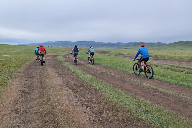 Full Day Mountain Biking Tour in Khan Khenty National Park - Lunch, snacks, and the cooking that keeps the day pleasant