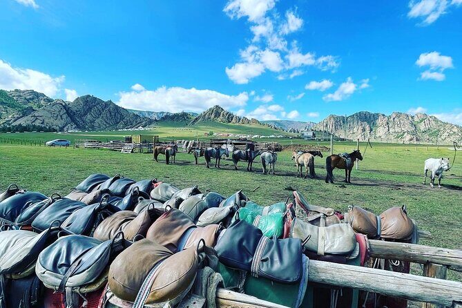 Full Day Private Tour in Terelj National Park with Horse Riding - Back to Ulaanbaatar: wrap-up and what the timing means