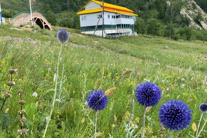 Full Day Private Tour in Terelj National Park with Horse Riding - Who this Terelj horse tour is best for
