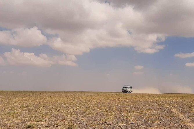 Gobi and Grassland Mongolia 7N8D - Gobi and Grassland Mongolia 7N8D: how the trip actually feels