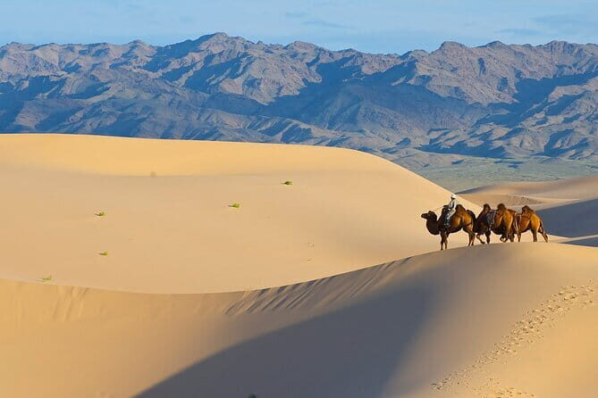 Gobi tour Mongolia 7 Days - Yolyn Am (Eagle Valley): Gorges, Ice Formations, and the Gobi Museum Stop