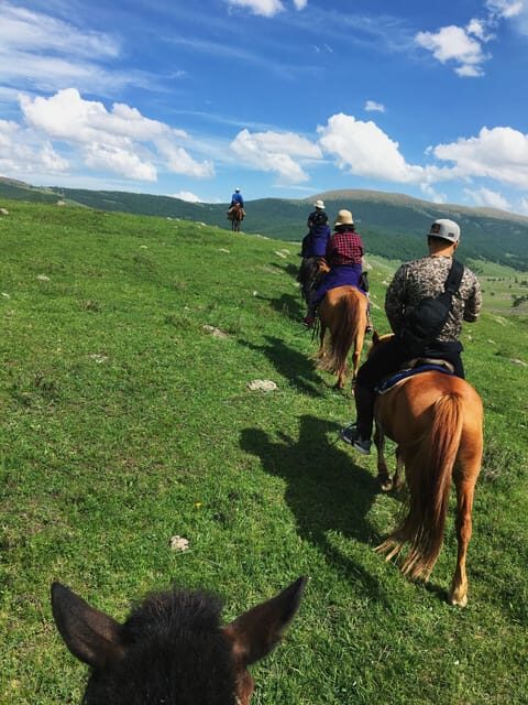 Horse riding experience in Terelj National park 1 day - A Practical One-Day Loop From Ulaanbaatar to Terelj and Back