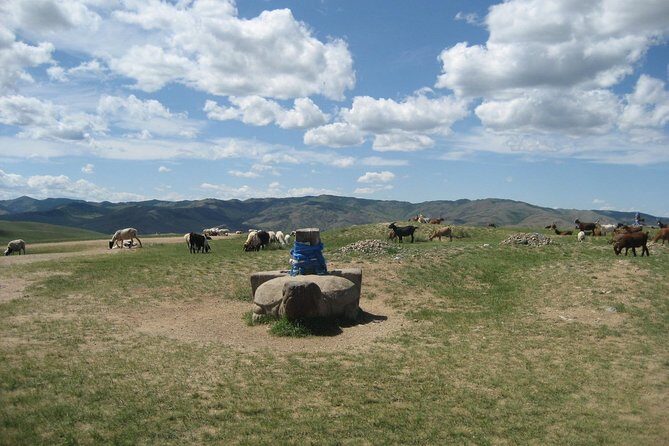 Mini Gobi and the ancient capital Kharkhorin - 4 days - Mini Gobi and Kharkhorin: what this 4-day route really delivers