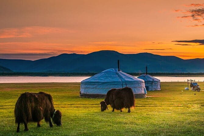 Mongolia - Sedan, Lexus, UAZ Minivan, 4WD Tour& Transport Service - Day trip or multi-day charter: how the transport changes