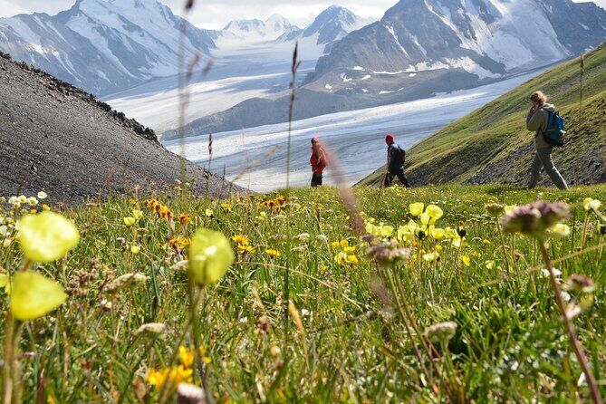 Mongolia Trekking Tour in the Altai Tavan Bogd National Park - Hovd Valley lunch and a town hotel night that feels civilized