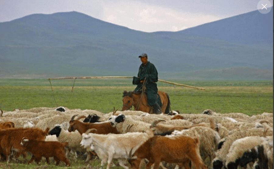 MONGOLIAN NOMADS: 2-Day Horse Trekking & Cow Milking Tour - Your ger stay: warm enough, but not a hotel
