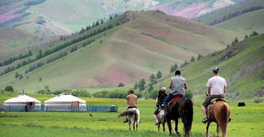 MONGOLIAN NOMADS: 2-Day Horse Trekking & Cow Milking Tour - How guiding works (and why it matters)