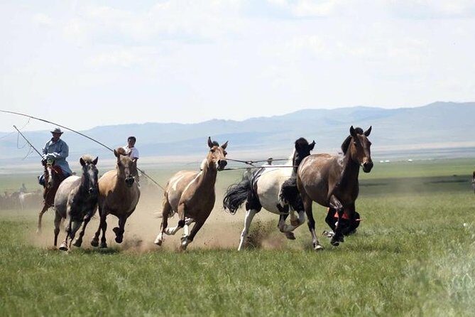 Overnight Semi-Gobi Tour with Nomadic HomeStay - Semi-Gobi Is the Weekend Desert You Can Actually Do