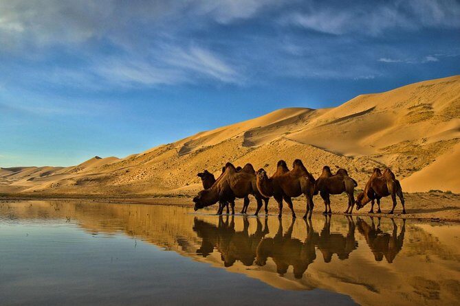 Overnight Semi-Gobi Tour with Nomadic HomeStay - What You Can Expect During the Riding and Animal Spotting