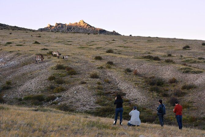 Private 3-Day Tour of National Parks From Ulaanbaatar - Who this tour suits best (and who should think twice)
