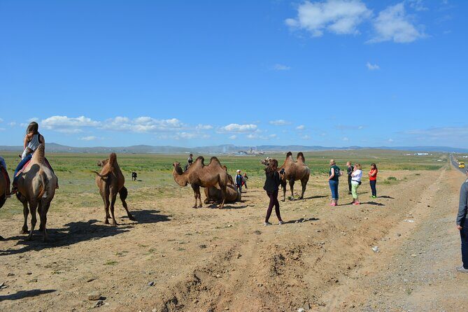 Private Day Tour: Terelj National Park + Genghis Khan's Statue .. - Chinggis Khan Statue Complex: the 131-foot wow factor