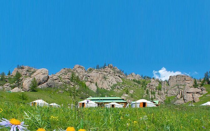 Private Day Tour: Terelj National Park + Genghis Khan's Statue .. - Price and value: what $184 covers (and why it’s not just driving)